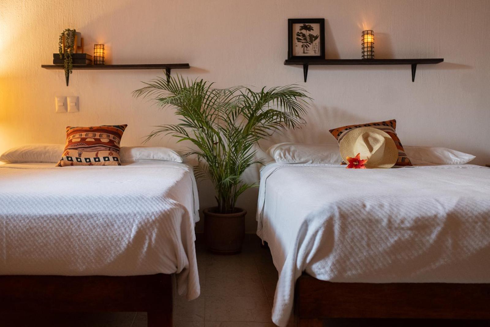 Casa Botanica Hotel Lo de Marcos Kültér fotó