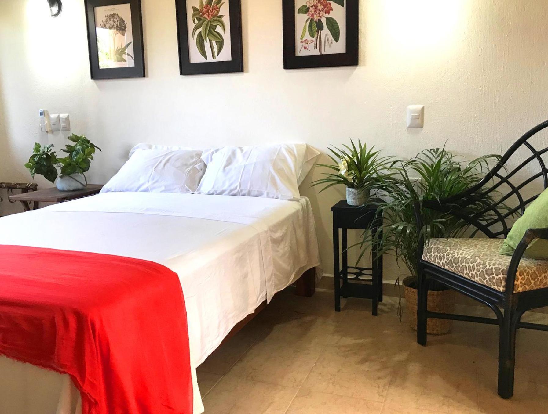 Casa Botanica Hotel Lo de Marcos Kültér fotó