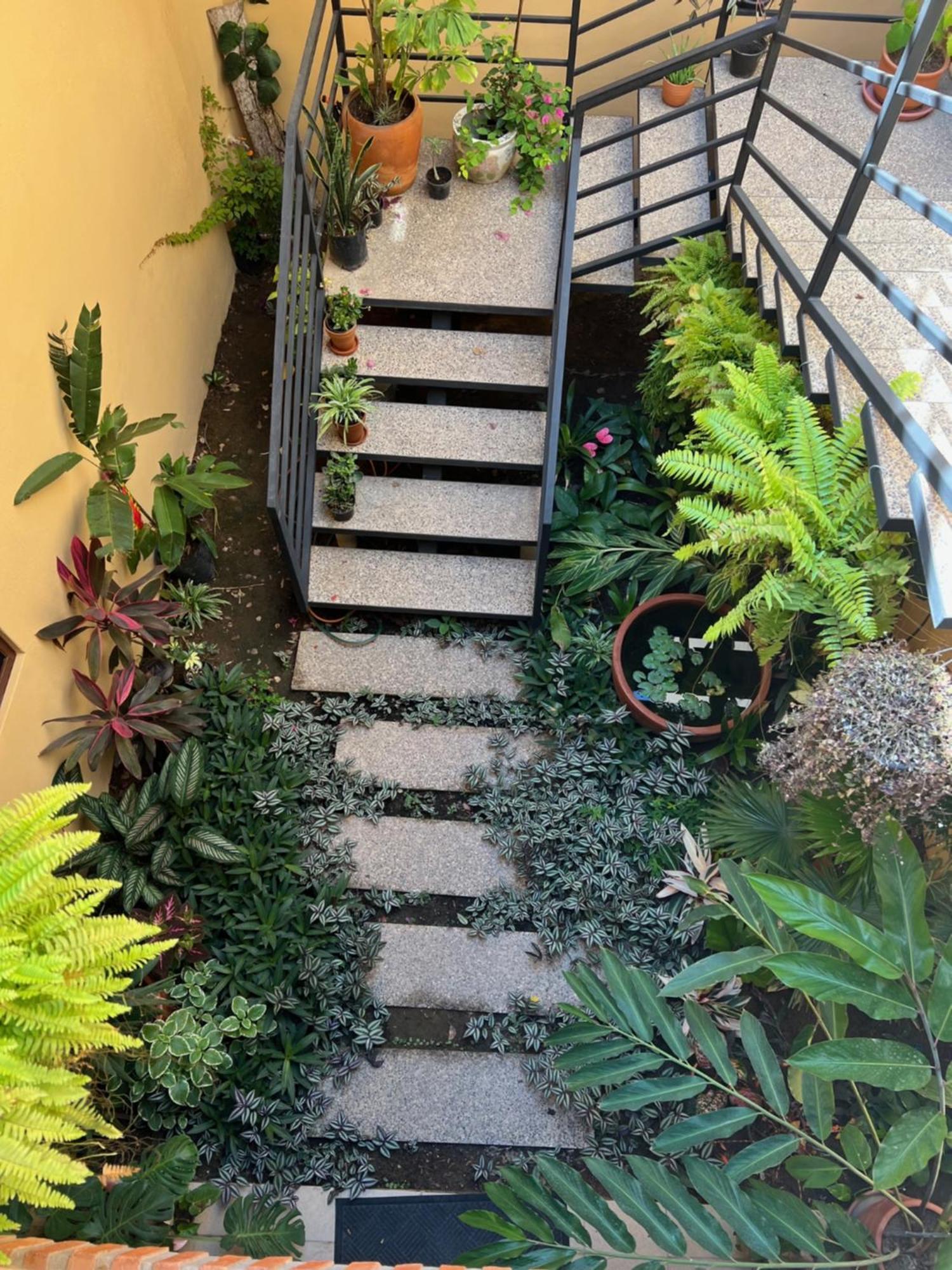 Casa Botanica Hotel Lo de Marcos Kültér fotó