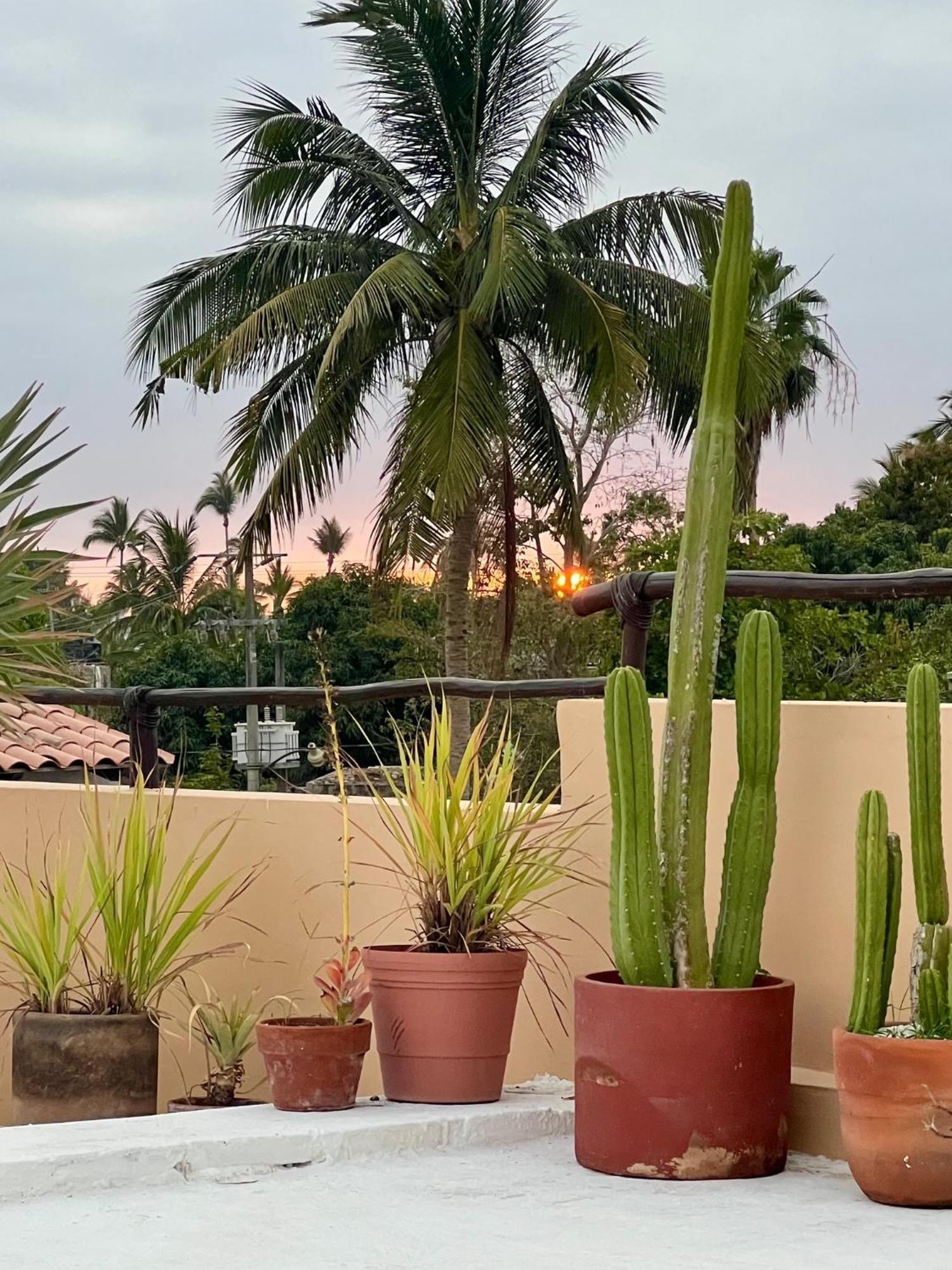 Casa Botanica Hotel Lo de Marcos Kültér fotó