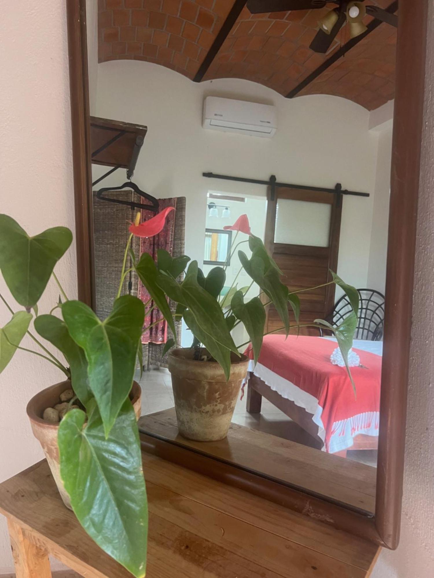 Casa Botanica Hotel Lo de Marcos Kültér fotó