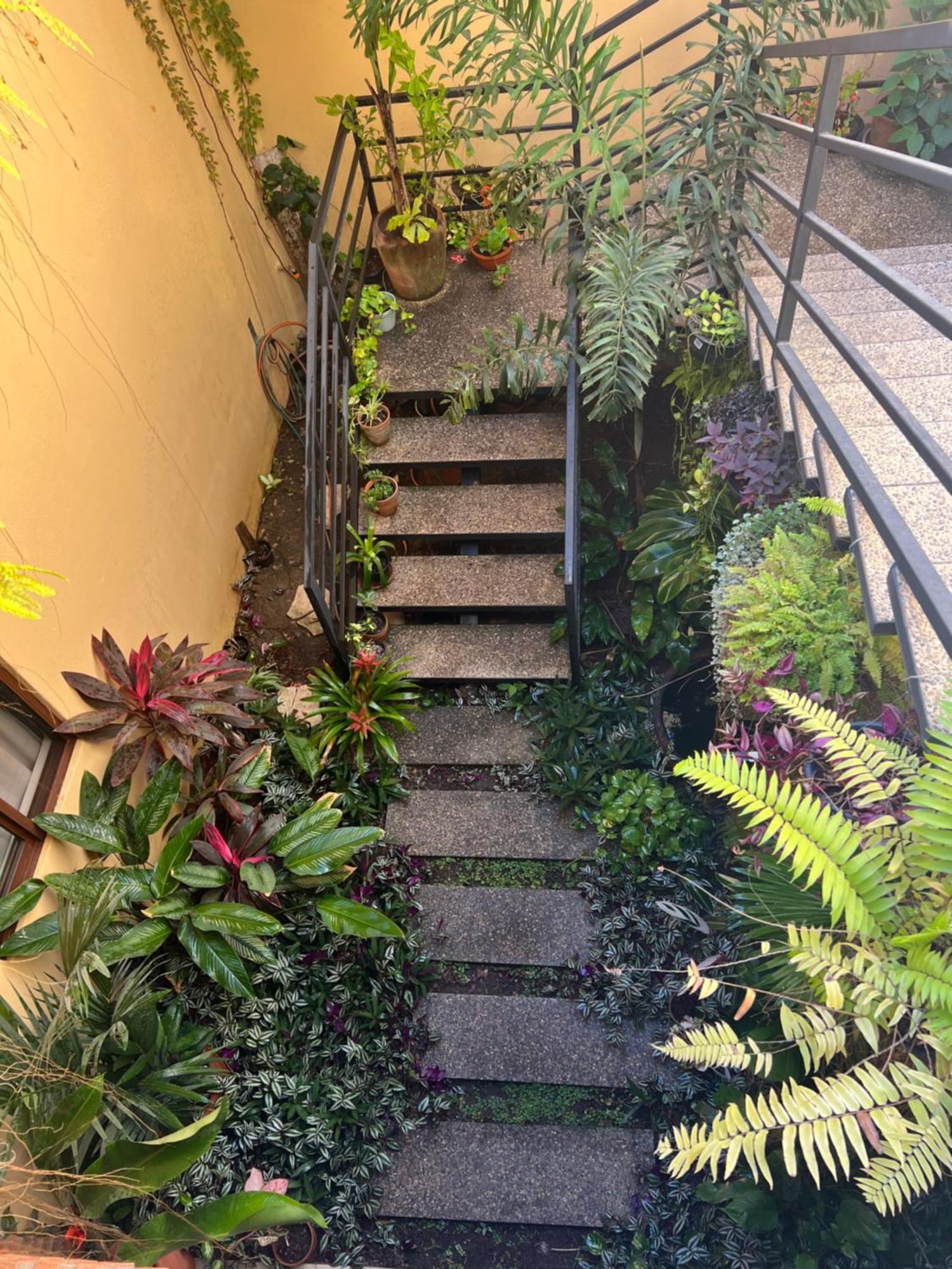 Casa Botanica Hotel Lo de Marcos Kültér fotó