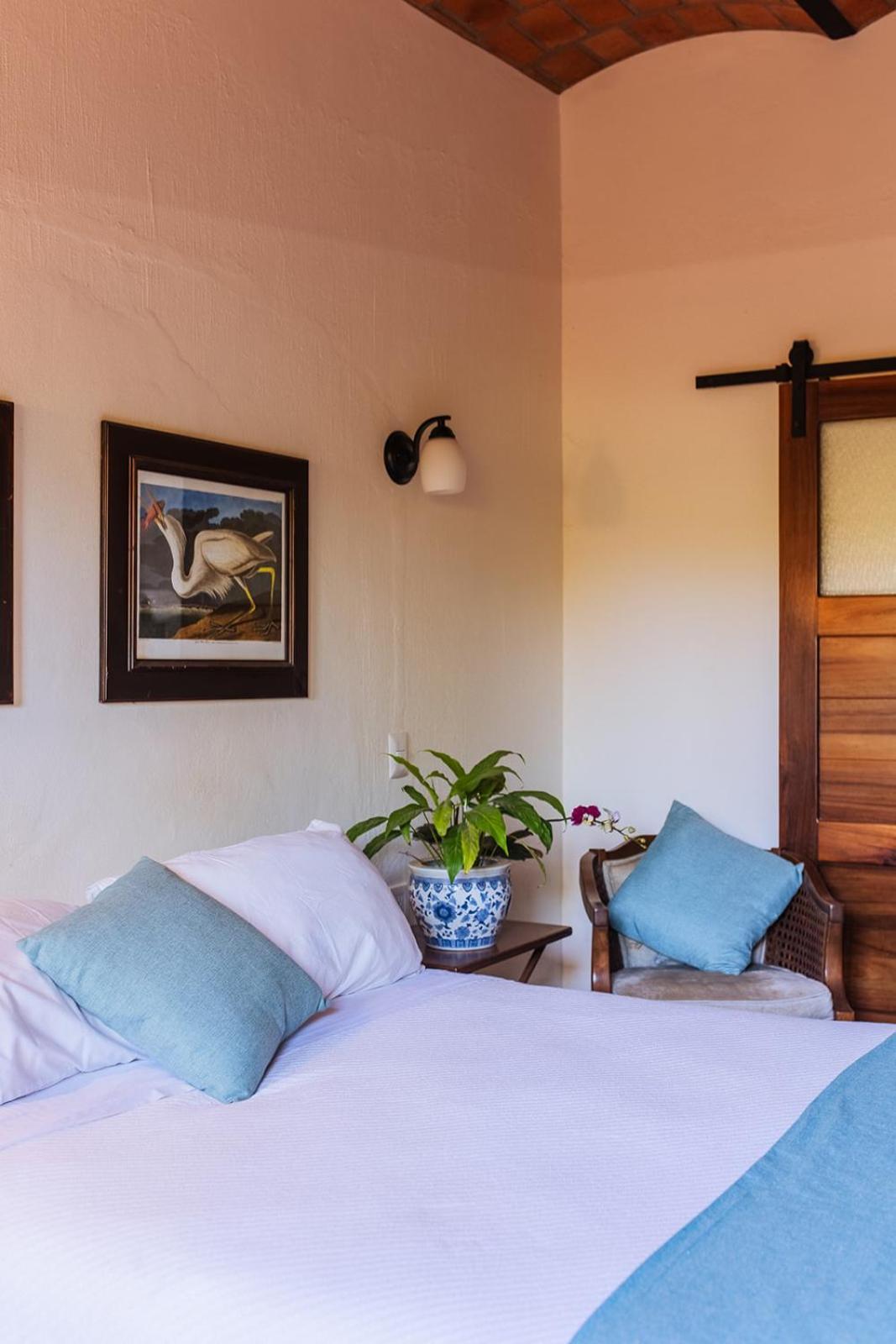 Casa Botanica Hotel Lo de Marcos Kültér fotó
