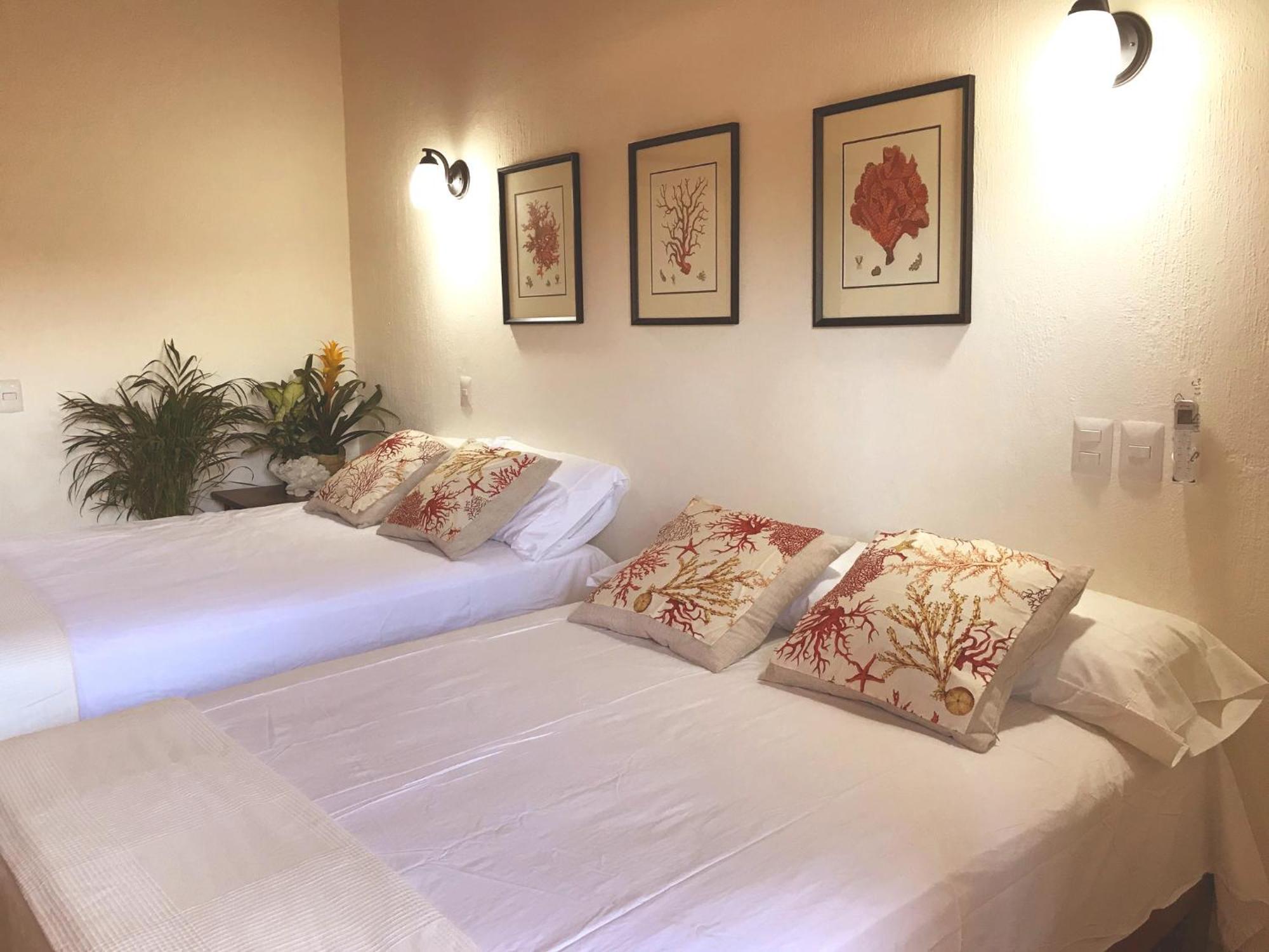 Casa Botanica Hotel Lo de Marcos Kültér fotó